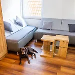 Gaestehaus Jagsttal شقة فندقية 3*